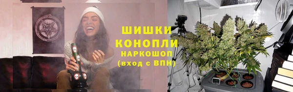 ГАЛЛЮЦИНОГЕННЫЕ ГРИБЫ Дмитриев