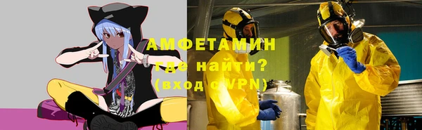 ГАЛЛЮЦИНОГЕННЫЕ ГРИБЫ Дмитриев