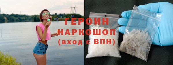ГАЛЛЮЦИНОГЕННЫЕ ГРИБЫ Дмитриев