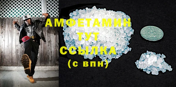 ГАЛЛЮЦИНОГЕННЫЕ ГРИБЫ Дмитриев