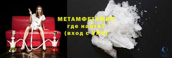 ГАЛЛЮЦИНОГЕННЫЕ ГРИБЫ Дмитриев