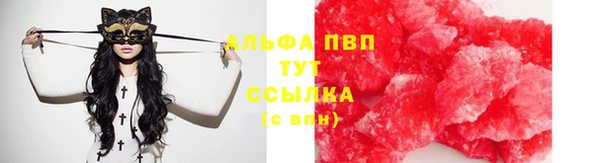 спиды Дмитровск