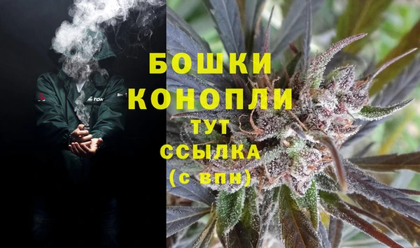 ГАЛЛЮЦИНОГЕННЫЕ ГРИБЫ Дмитриев