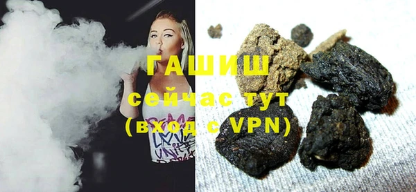 ГАЛЛЮЦИНОГЕННЫЕ ГРИБЫ Дмитриев