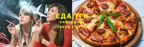 ГАЛЛЮЦИНОГЕННЫЕ ГРИБЫ Дмитриев