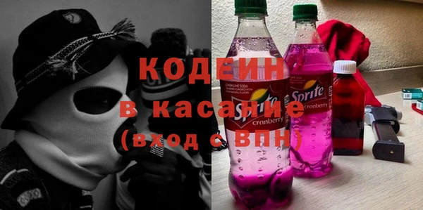 ГАЛЛЮЦИНОГЕННЫЕ ГРИБЫ Дмитриев
