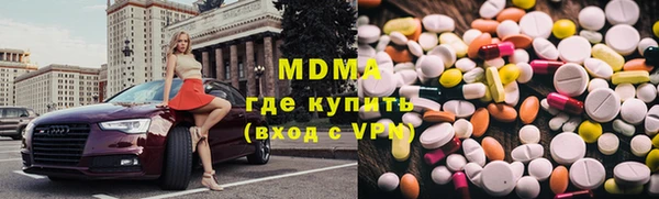 ГАЛЛЮЦИНОГЕННЫЕ ГРИБЫ Дмитриев