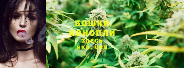 ГАЛЛЮЦИНОГЕННЫЕ ГРИБЫ Дмитриев