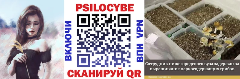 Купить где  Фурманов  Псилоцибиновые грибы MAGIC MUSHROOMS 